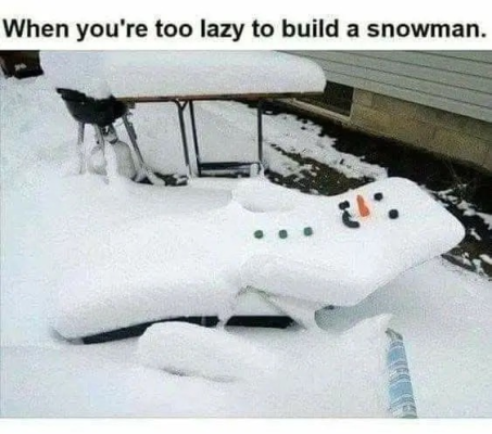 1737462584858.png