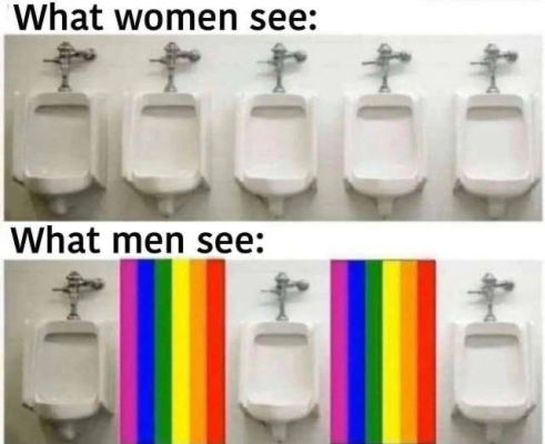 1737548802505.png