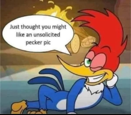 1737633802027.png