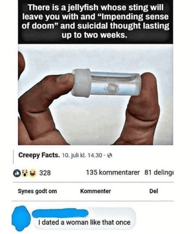 1737720138934.png
