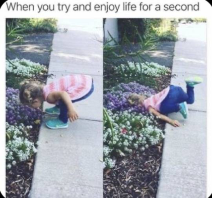 1737807596307.png