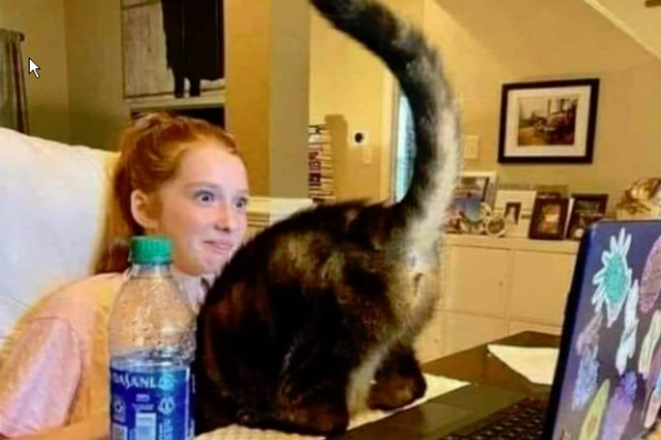 catassonzoom.png