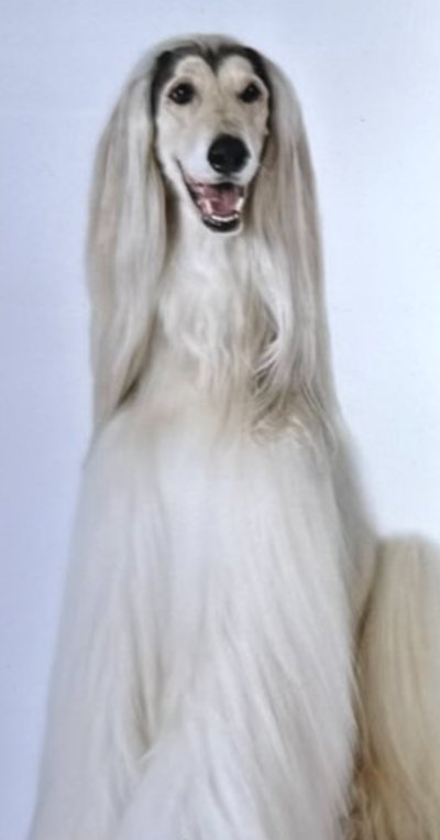 1738955743789.png