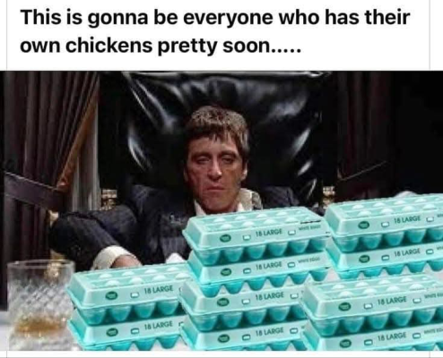 1739358719995.png