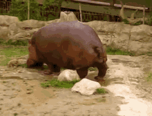 1742738865176.gif