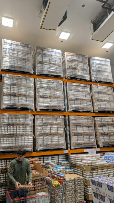 Costco eggs.jpg