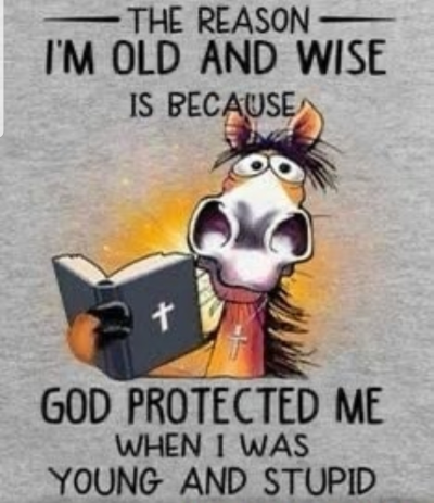 1744802959602.png