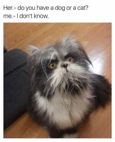 1745322796827.png