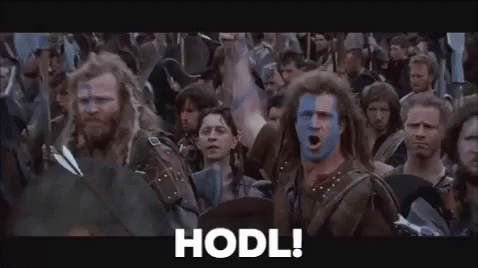 hodlbraveheart-ani.gif