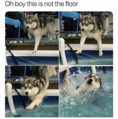 1745578998660.png