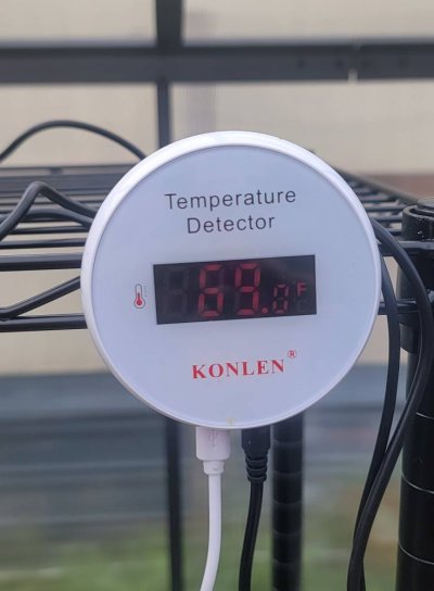 GHTemp.jpg