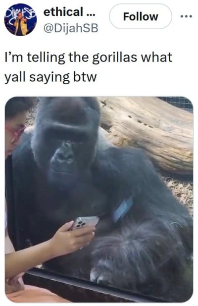1746142723601.jpeg