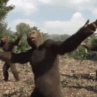 1746219052261.gif