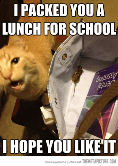 1746272606574.png