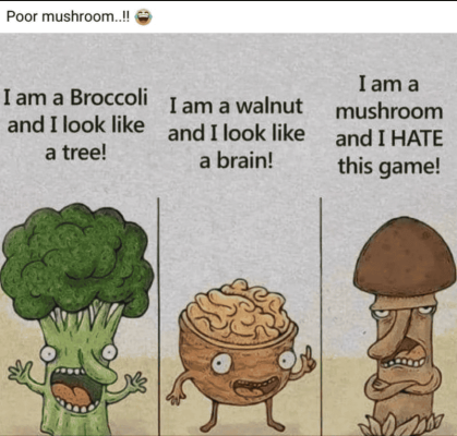 1746272732359.png