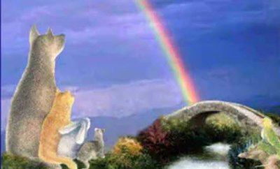 farewelllookingattherainbow.jpg