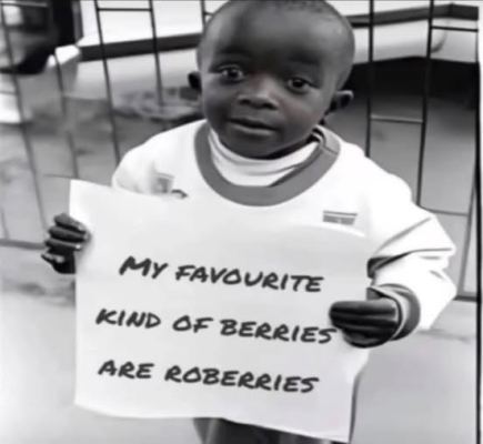 1746495117992.png