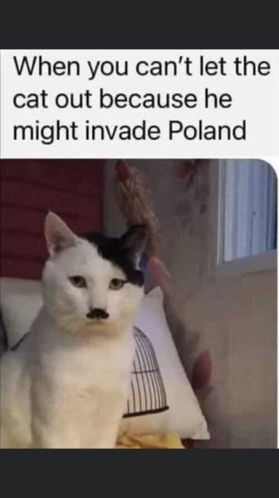 1746530937822.png