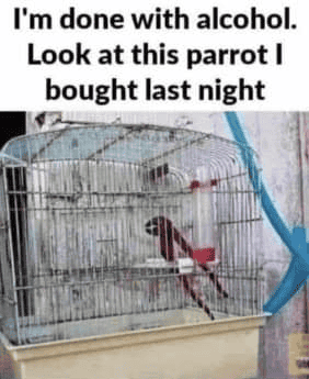 1746701677512.png