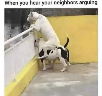 1746701722027.png