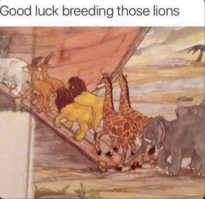 1746788844076.png