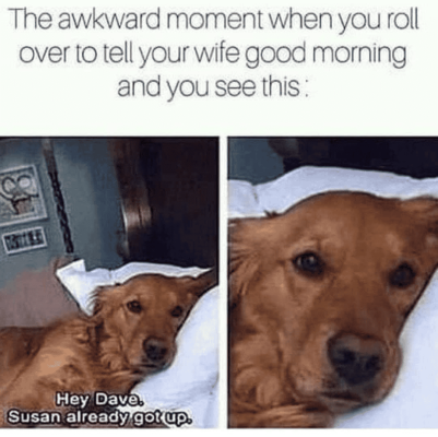 1746965157305.png