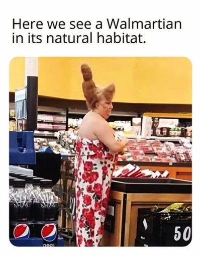 1747067157086.jpeg