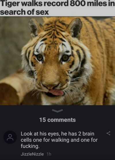 Screenshot_20250511-170446.png