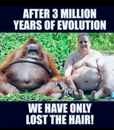 1747655624131.png
