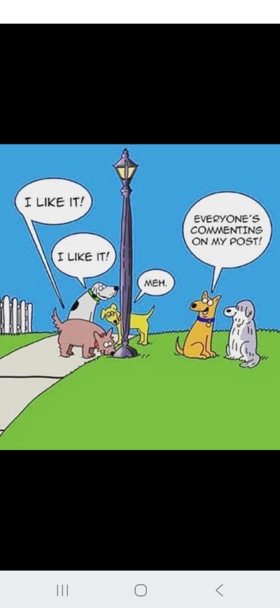 1748172469558.png