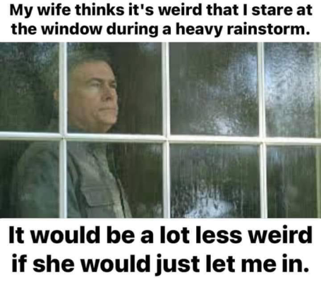 1748344781830.png