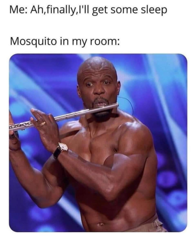 1748344805598.png