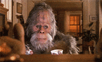 1748468187406.gif