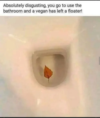 1749036210329.png