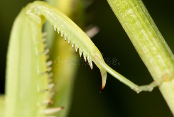 IMG_6801.jpeg