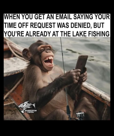 1749121918928.png