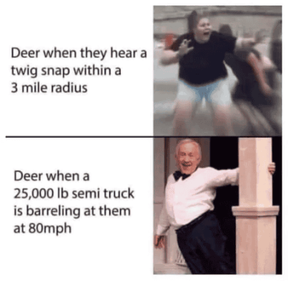 1749208610113.png
