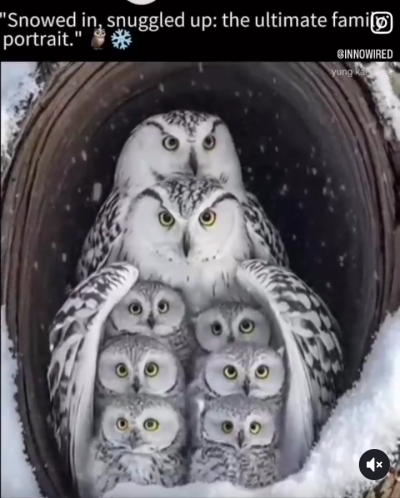 Screenshot_20250603-092050.png