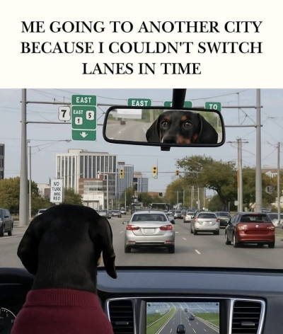 1749638939090.png