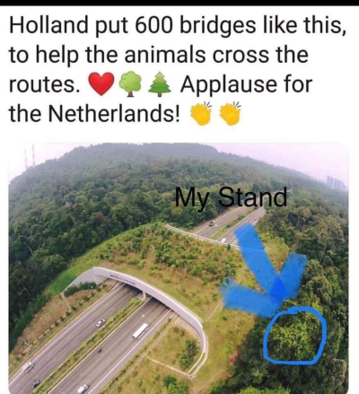 1750676032686.png