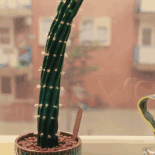 1750907977828.gif
