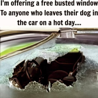 1751196244674.png