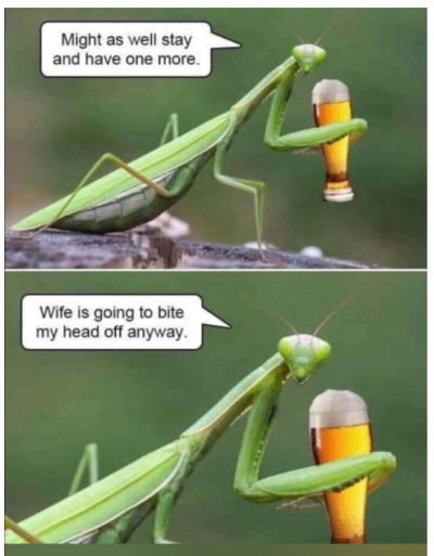 1751283244098.png