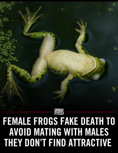 1751455494738.png