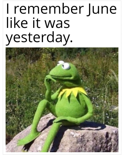 1751455572095.png