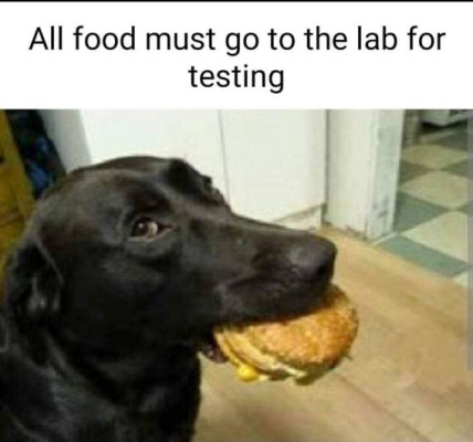 1751541653776.png