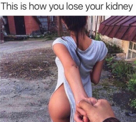 thisishowyouloseyourkidney.png