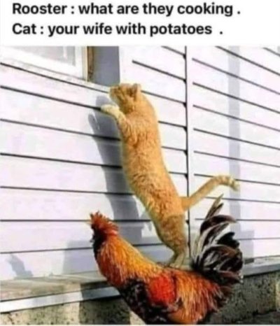 1751829044432.jpeg