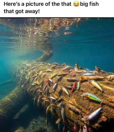 1751887345024.png