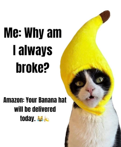 1751972317938.png